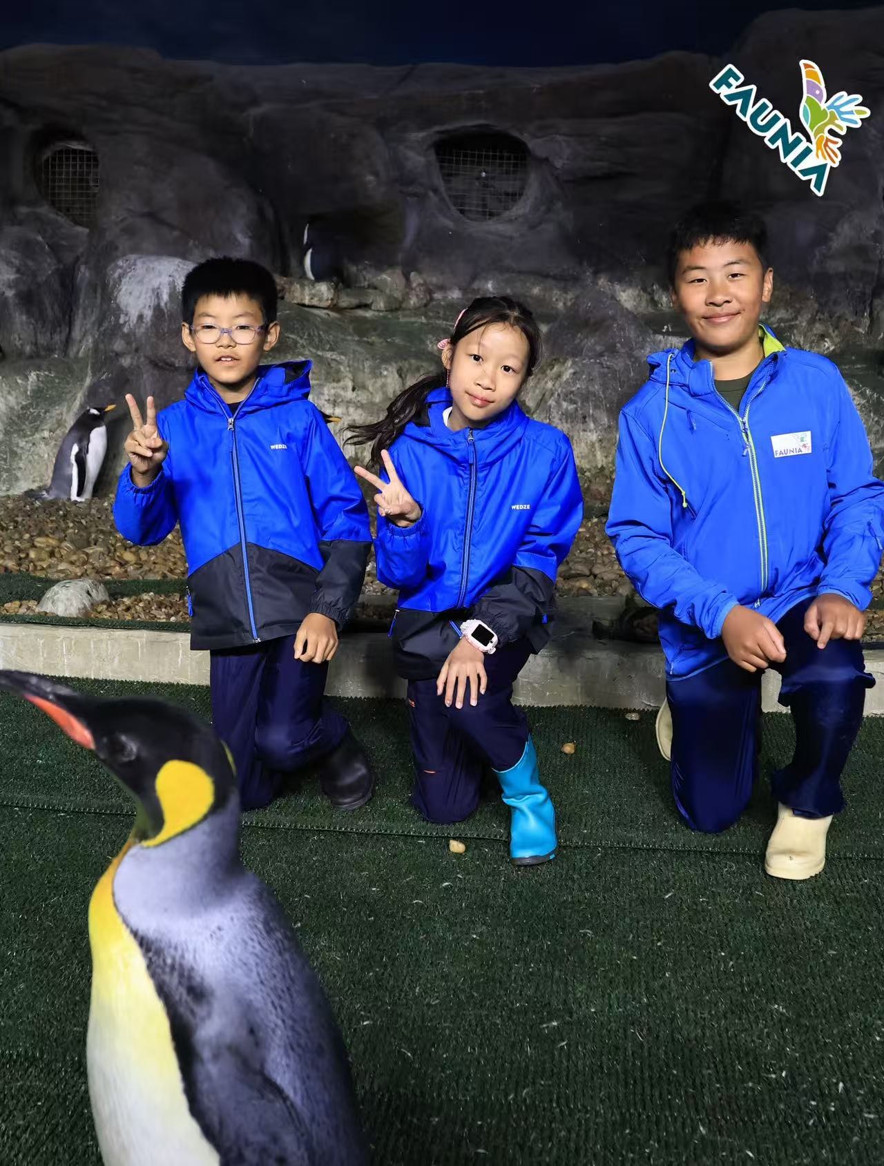 Three Dreamers meeting penguins at Faunia